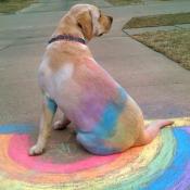lab end of rainbow